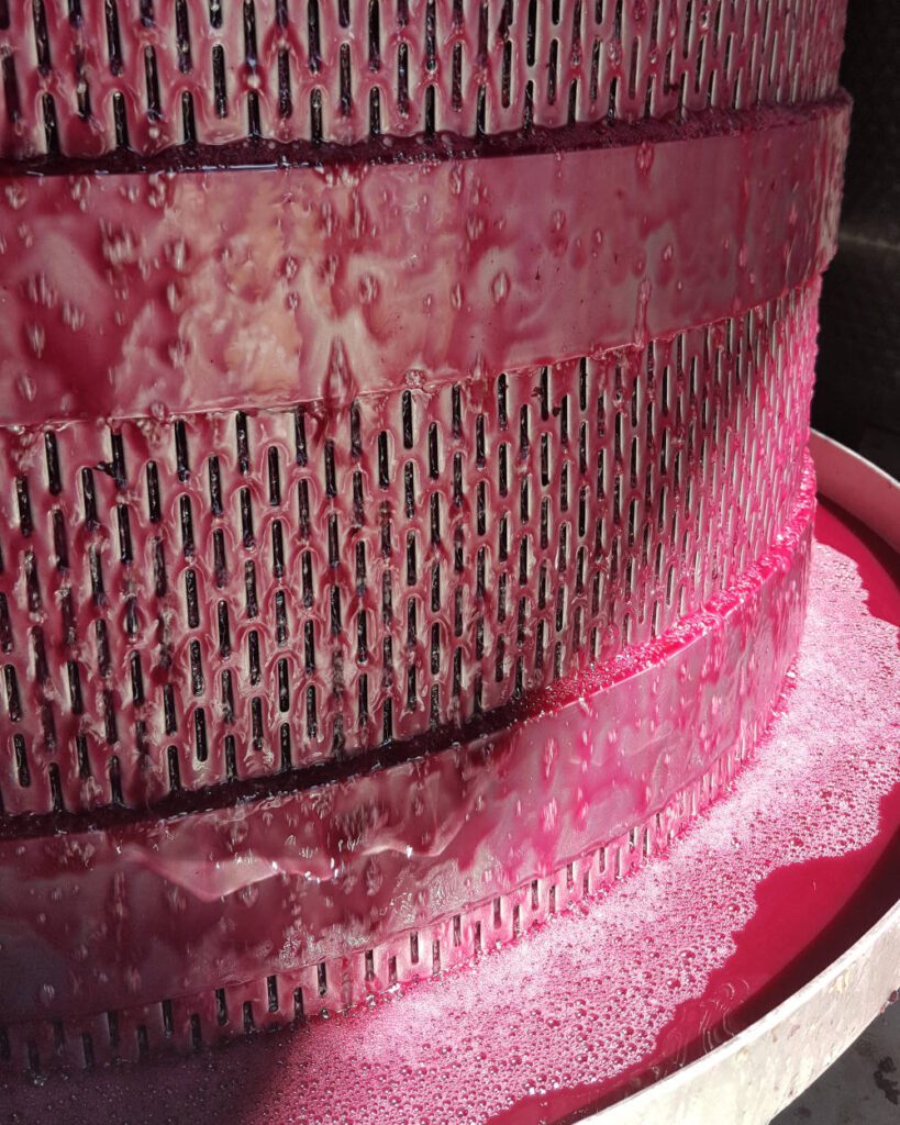 Red wine Pressing